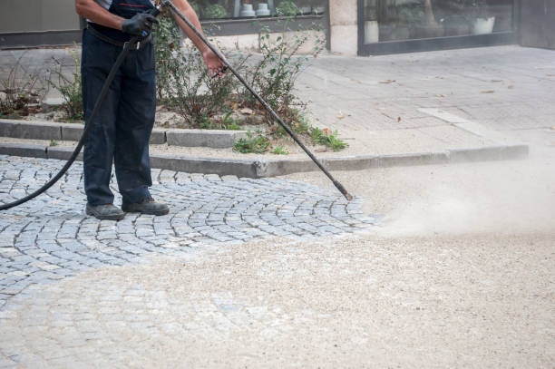 Best Sidewalk and Walkway Cleaning  in Portland, TX